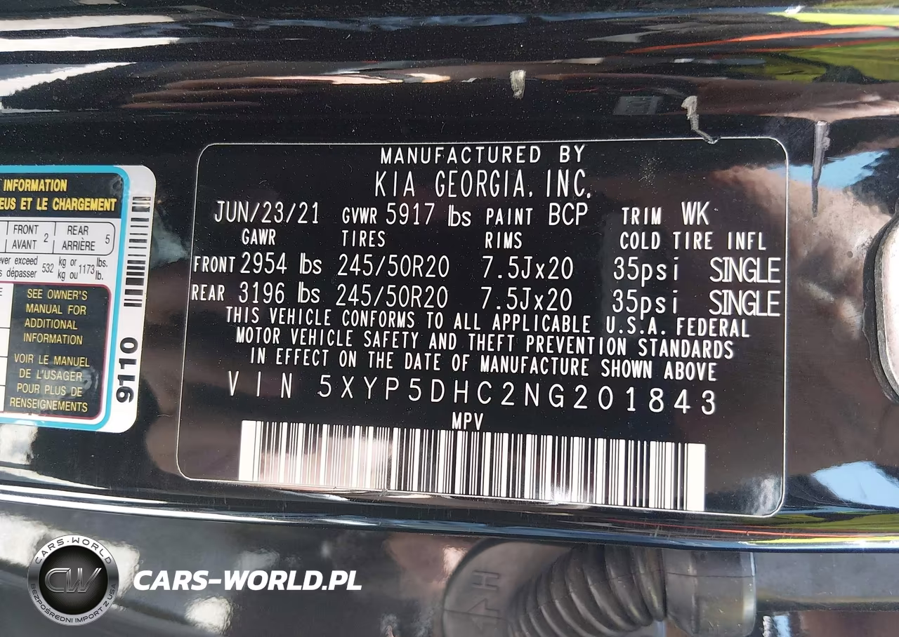 2022 Kia Telluride Sx VIN:5XYP5DHC2NG201843 - 9