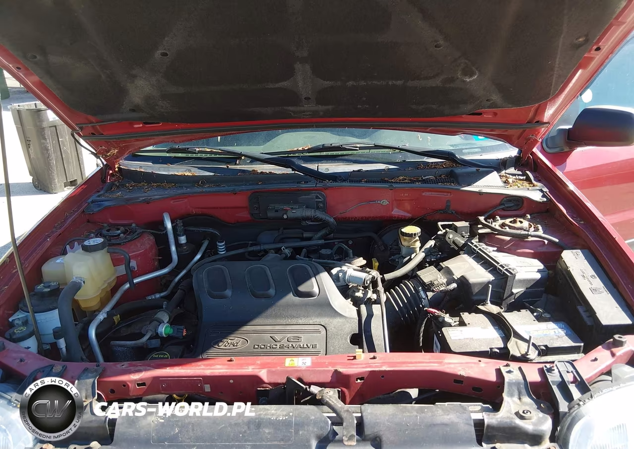 2004 Ford Escape Xls VIN:1FMYU92144KB35294 - 10