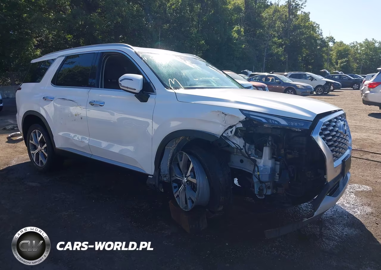 2020 Hyundai Palisade Sel