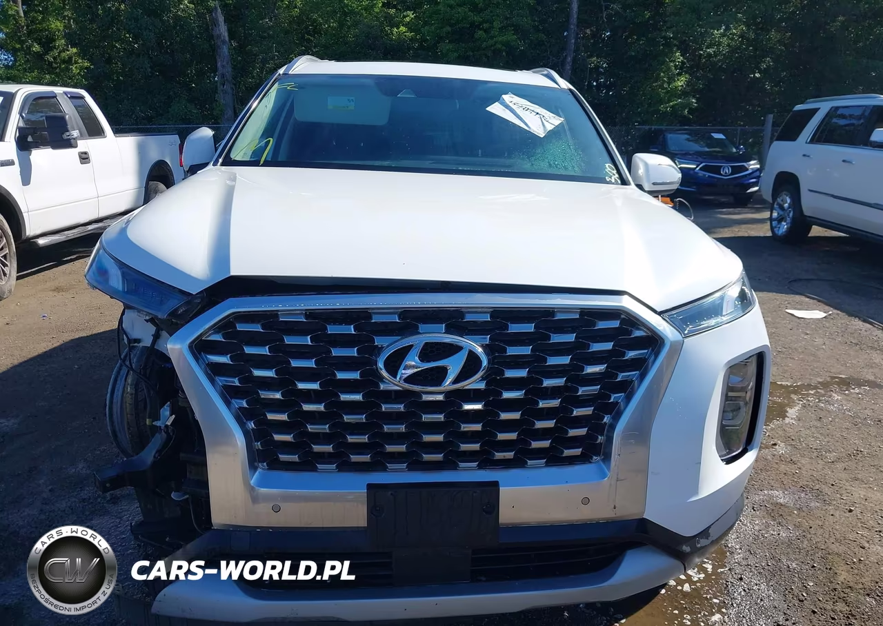 2020 Hyundai Palisade Sel VIN:KM8R4DHE8LU137957 - 13