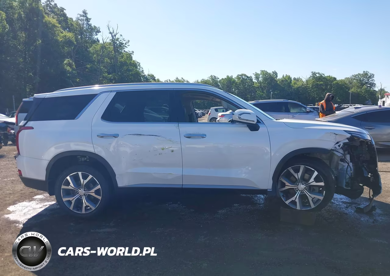 2020 Hyundai Palisade Sel VIN:KM8R4DHE8LU137957 - 14