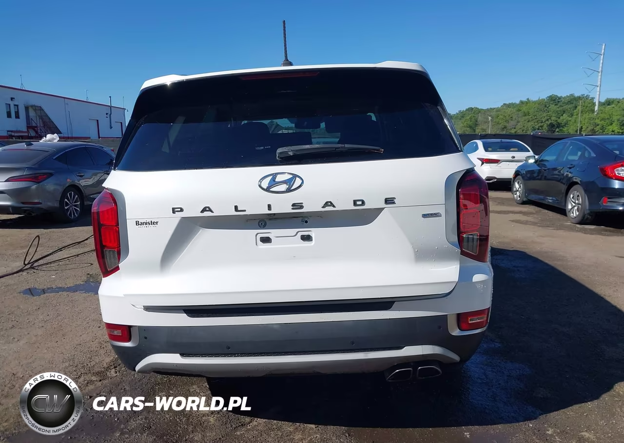 2020 Hyundai Palisade Sel VIN:KM8R4DHE8LU137957 - 17