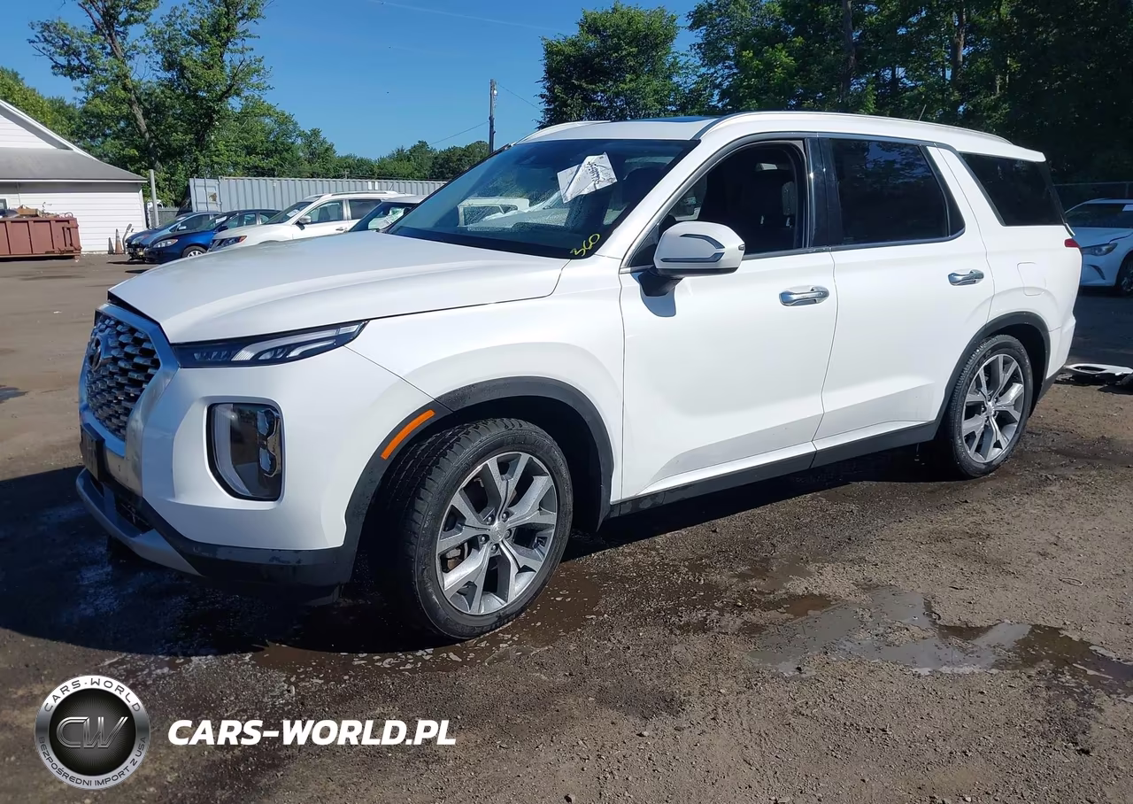 2020 Hyundai Palisade Sel VIN:KM8R4DHE8LU137957 - 2