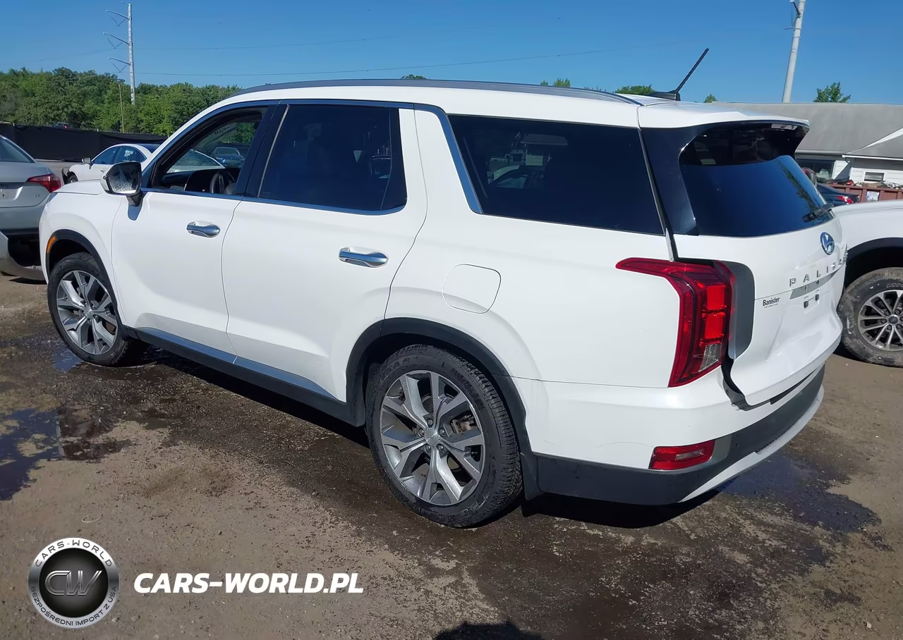 2020 Hyundai Palisade Sel VIN:KM8R4DHE8LU137957 - 3
