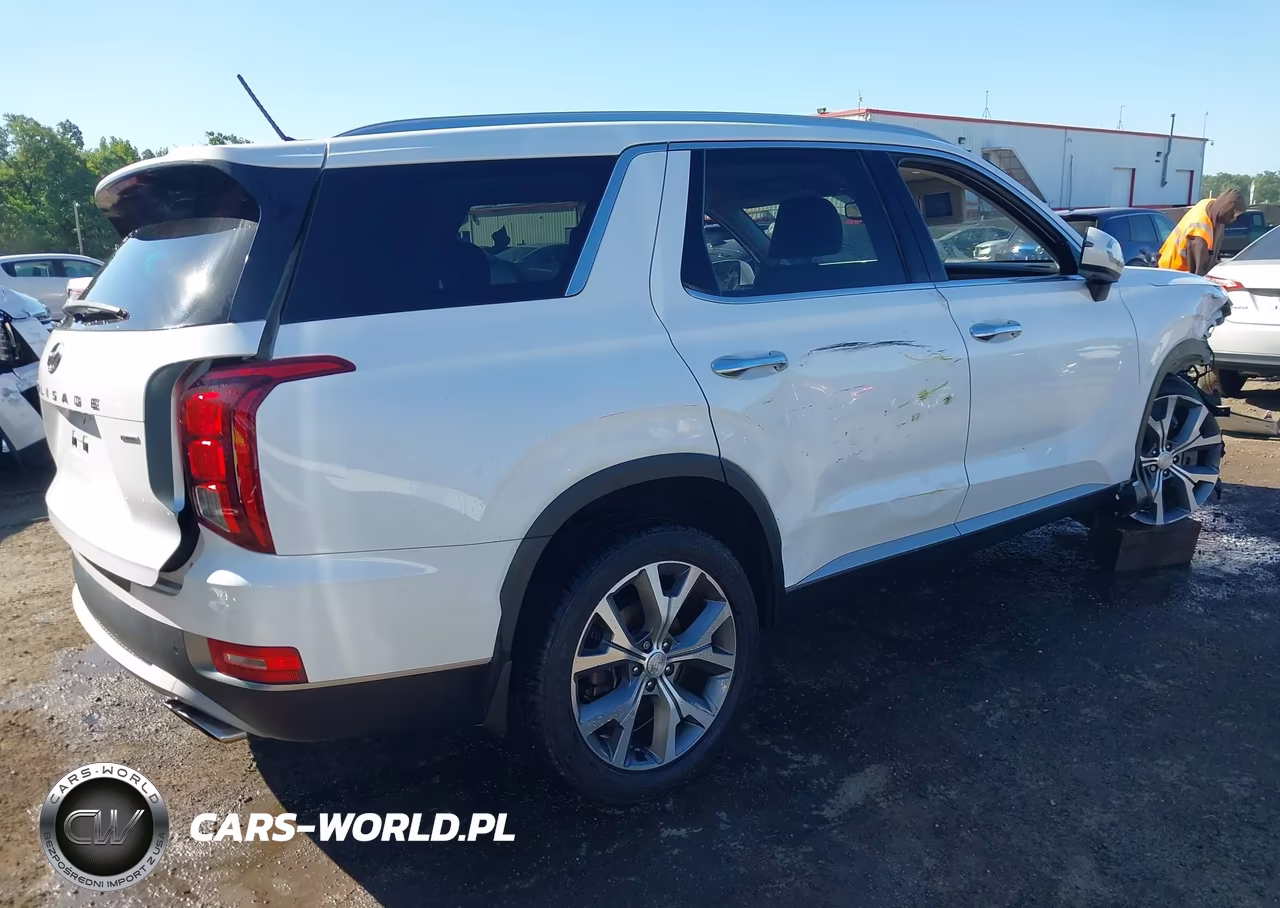 2020 Hyundai Palisade Sel VIN:KM8R4DHE8LU137957 - 4