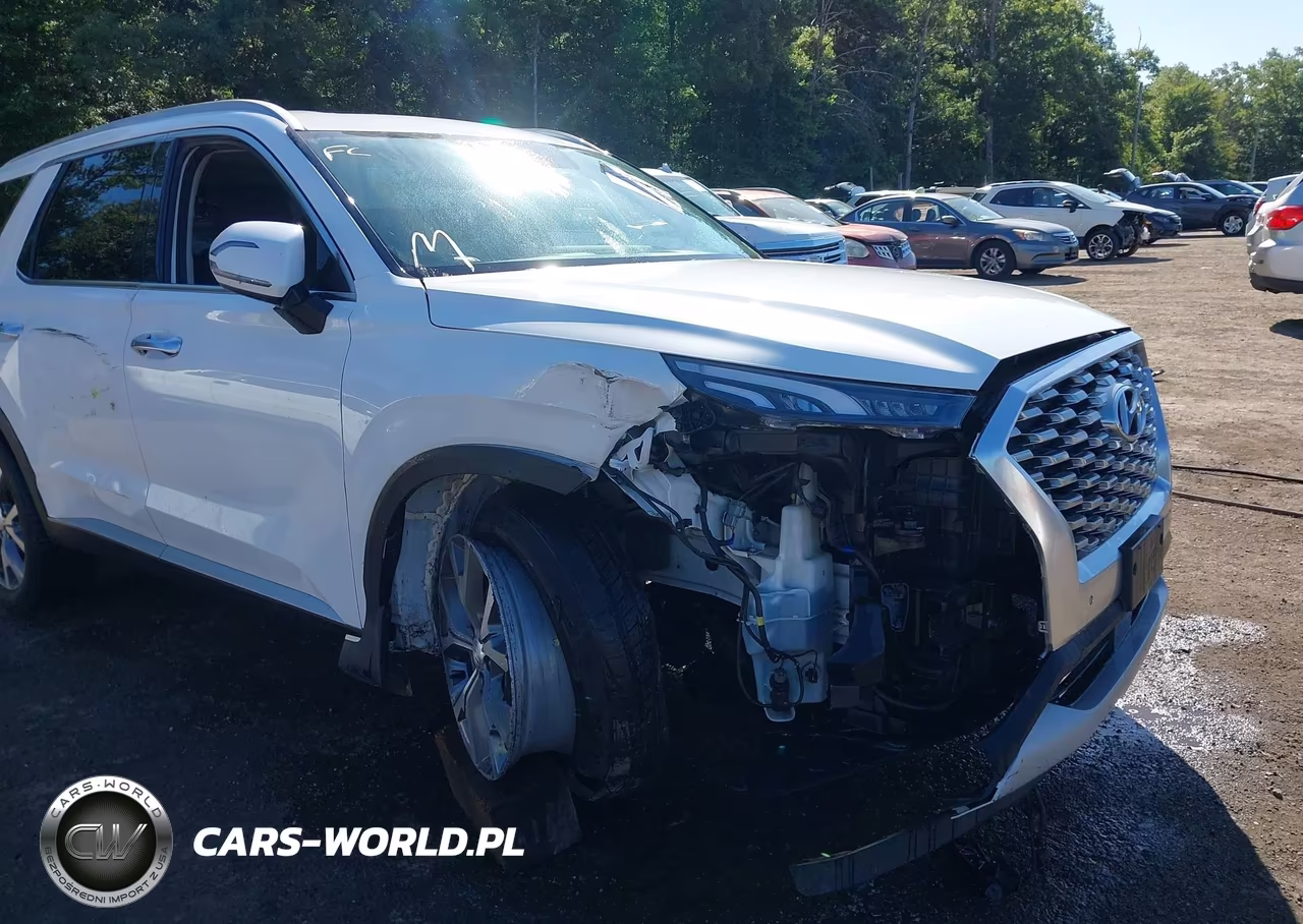 2020 Hyundai Palisade Sel VIN:KM8R4DHE8LU137957 - 6
