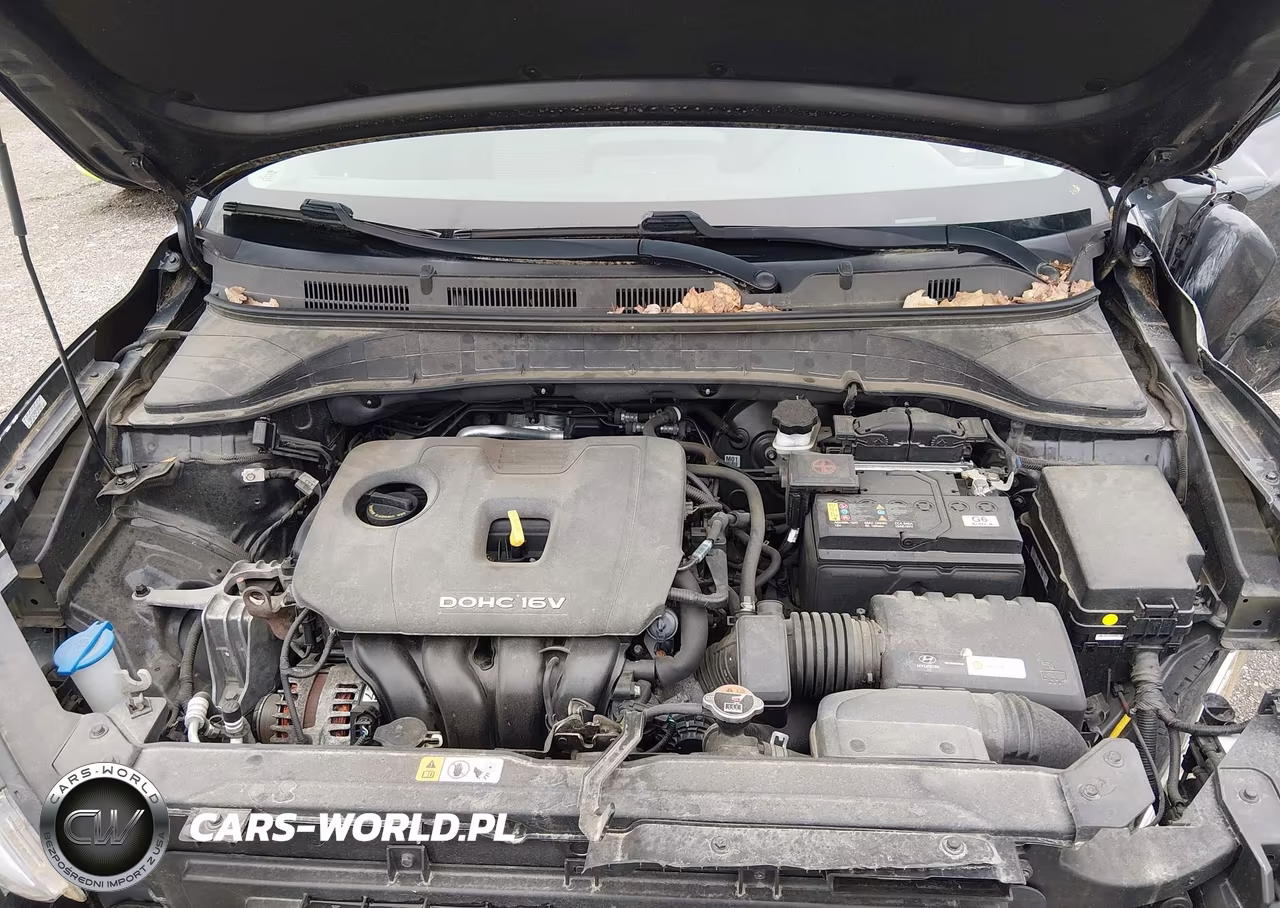 2019 Hyundai Kona Sel VIN:KM8K2CAA3KU318861 - 10