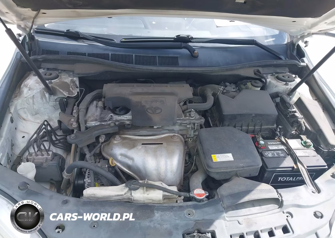 2016 Toyota Camry Se VIN:4T1BF1FK3GU209754 - 10