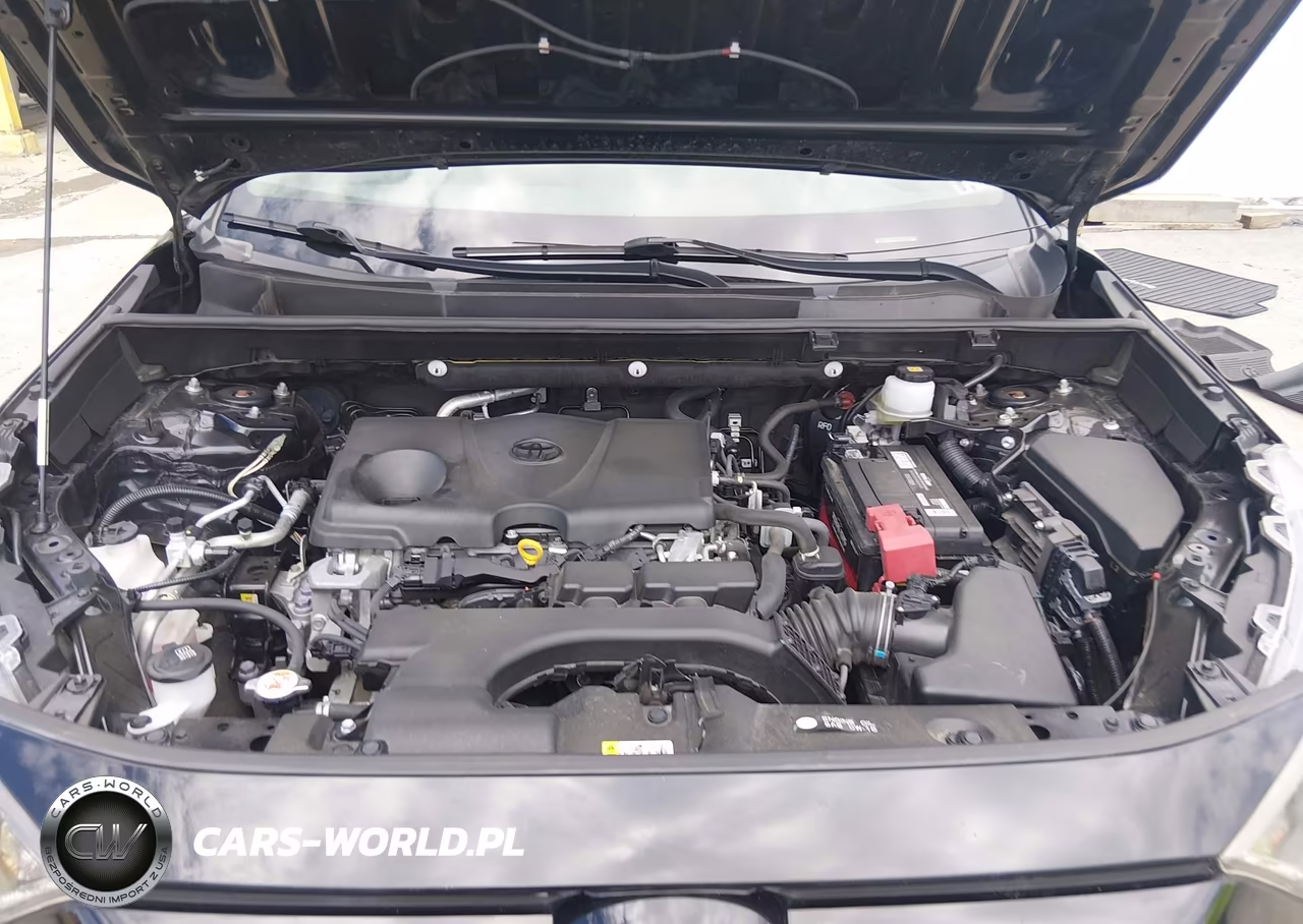 2019 Toyota Rav4 Le VIN:JTMG1RFV3KJ005516 - 10