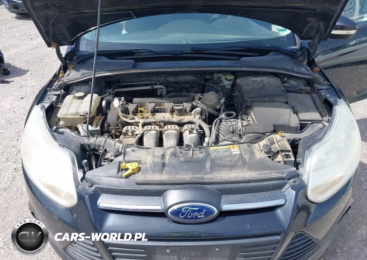 2013 Ford Focus Se VIN:1FADP3F22DL107682 - 10