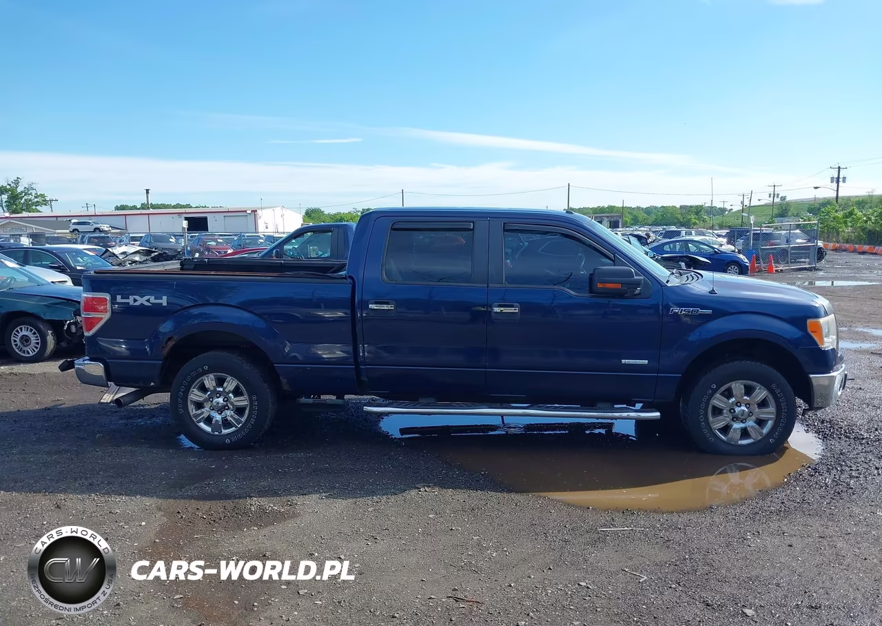 2011 Ford F-150 Xlt VIN:1FTFW1ET0BFC01950 - 13