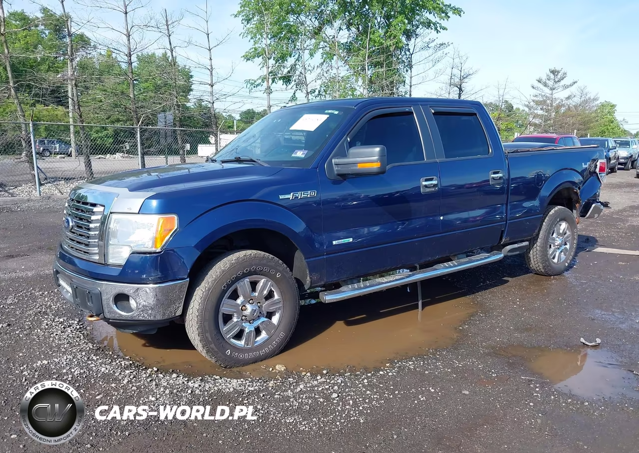 2011 Ford F-150 Xlt VIN:1FTFW1ET0BFC01950 - 2