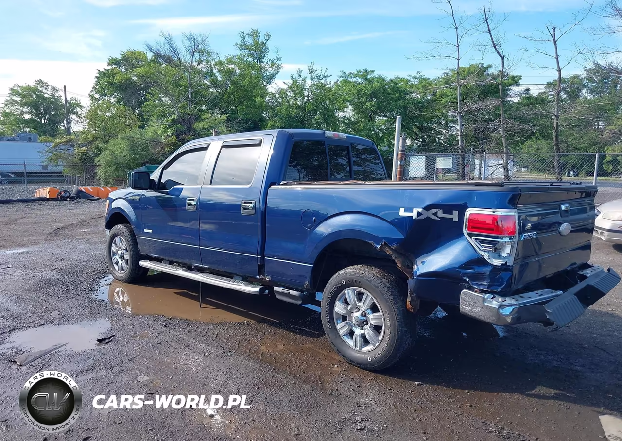 2011 Ford F-150 Xlt VIN:1FTFW1ET0BFC01950 - 3