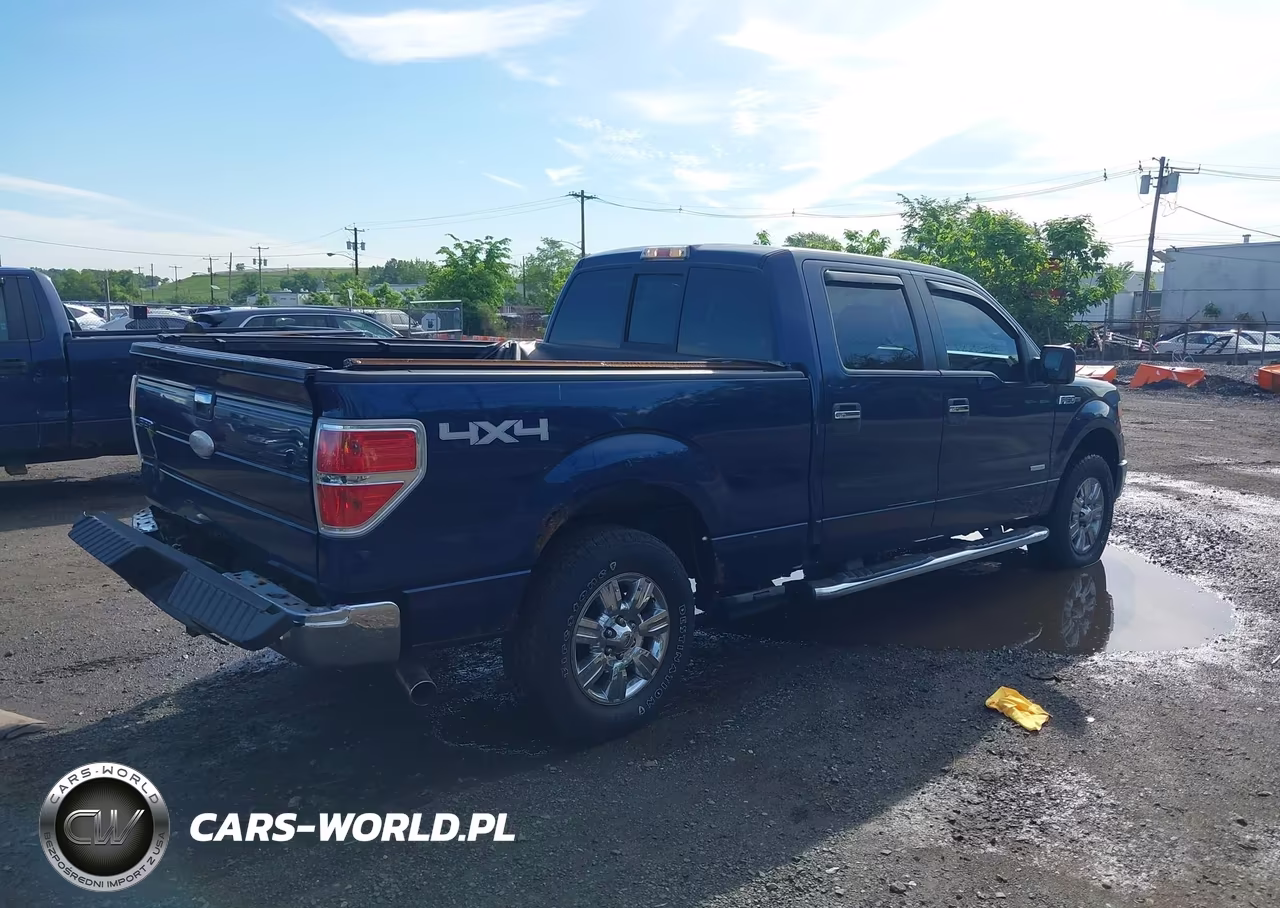 2011 Ford F-150 Xlt VIN:1FTFW1ET0BFC01950 - 4