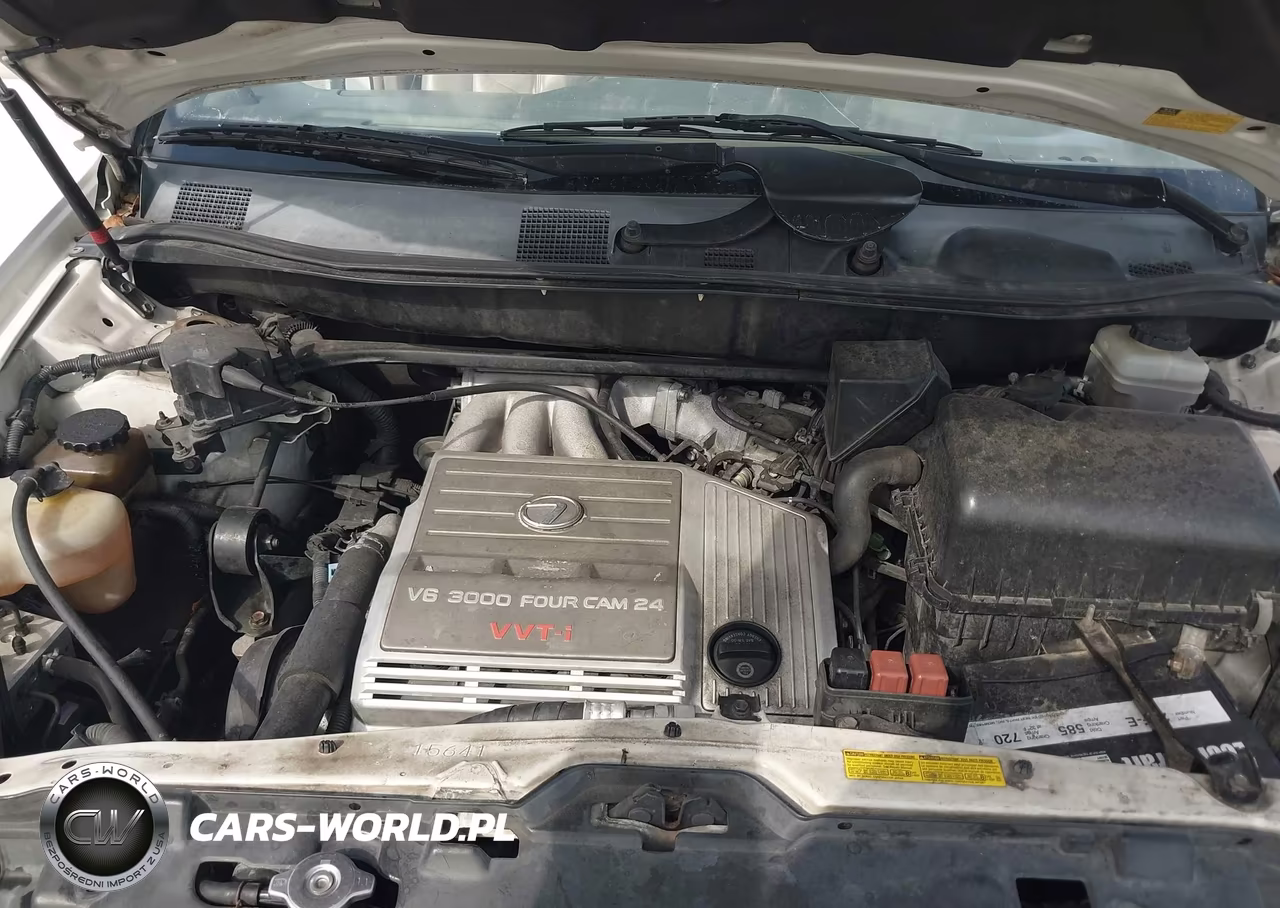 2002 Lexus Rx 300 VIN:JTJGF10U320135625 - 10