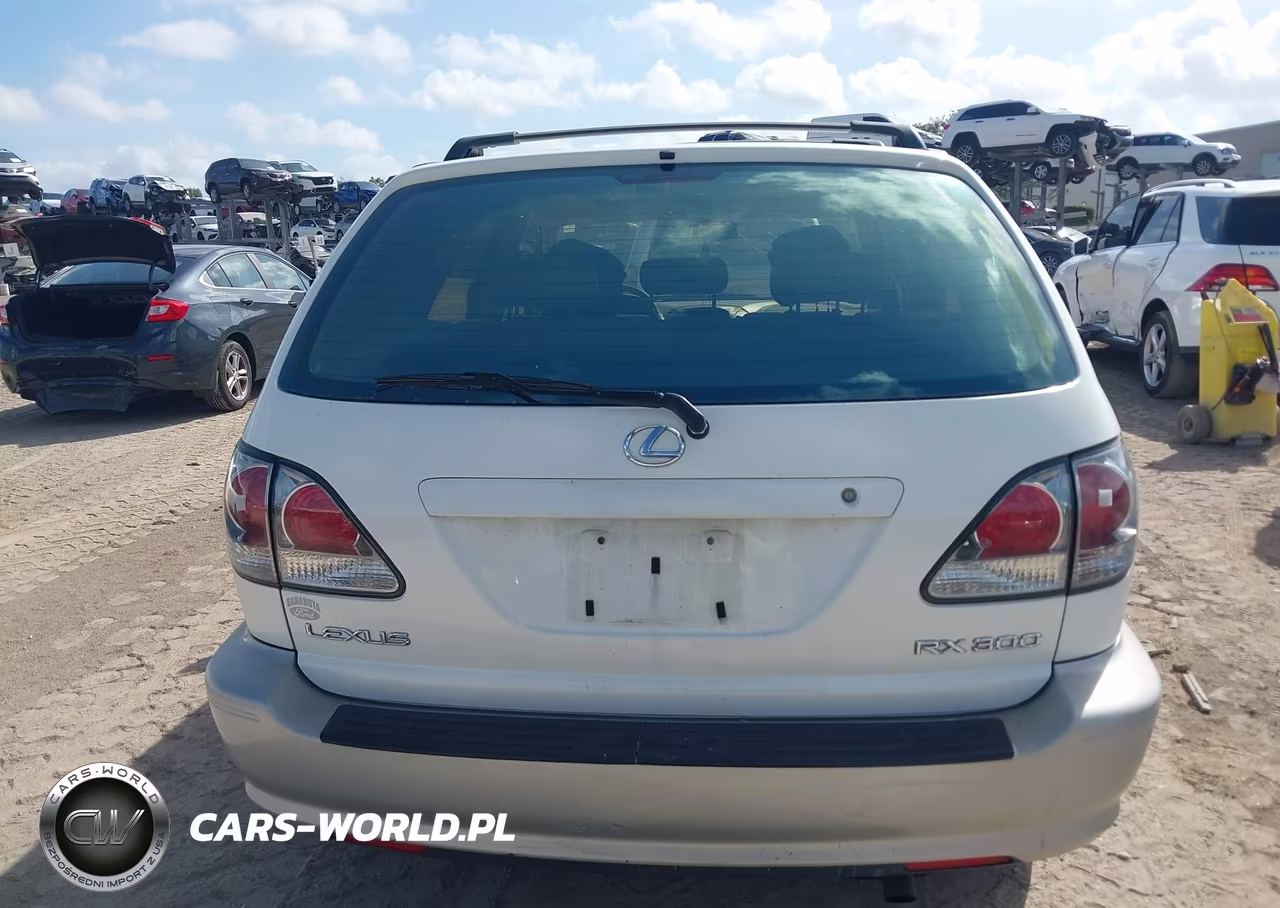 2002 Lexus Rx 300 VIN:JTJGF10U320135625 - 17