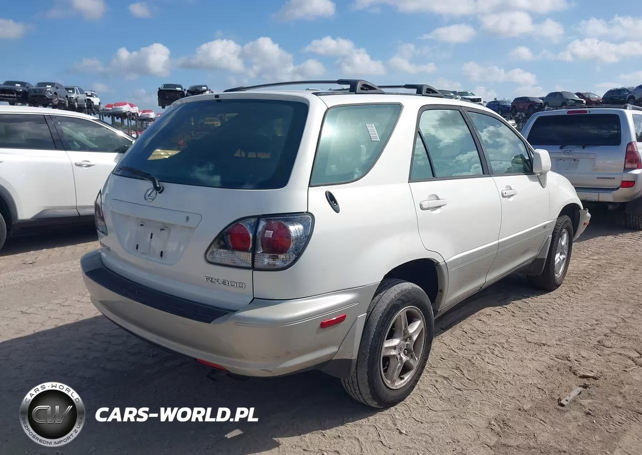 2002 Lexus Rx 300 VIN:JTJGF10U320135625 - 4