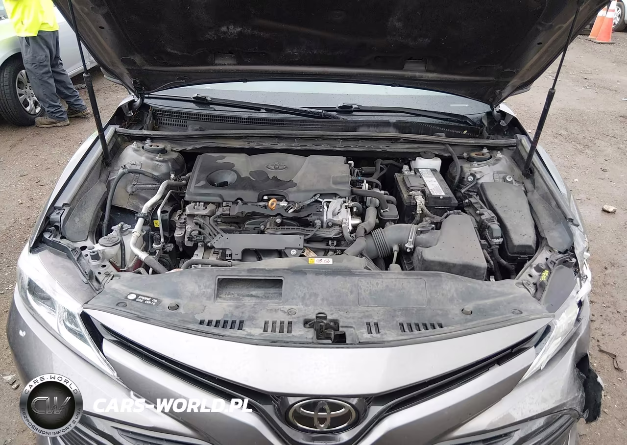 2019 Toyota Camry Le VIN:4T1B11HK5KU220601 - 10