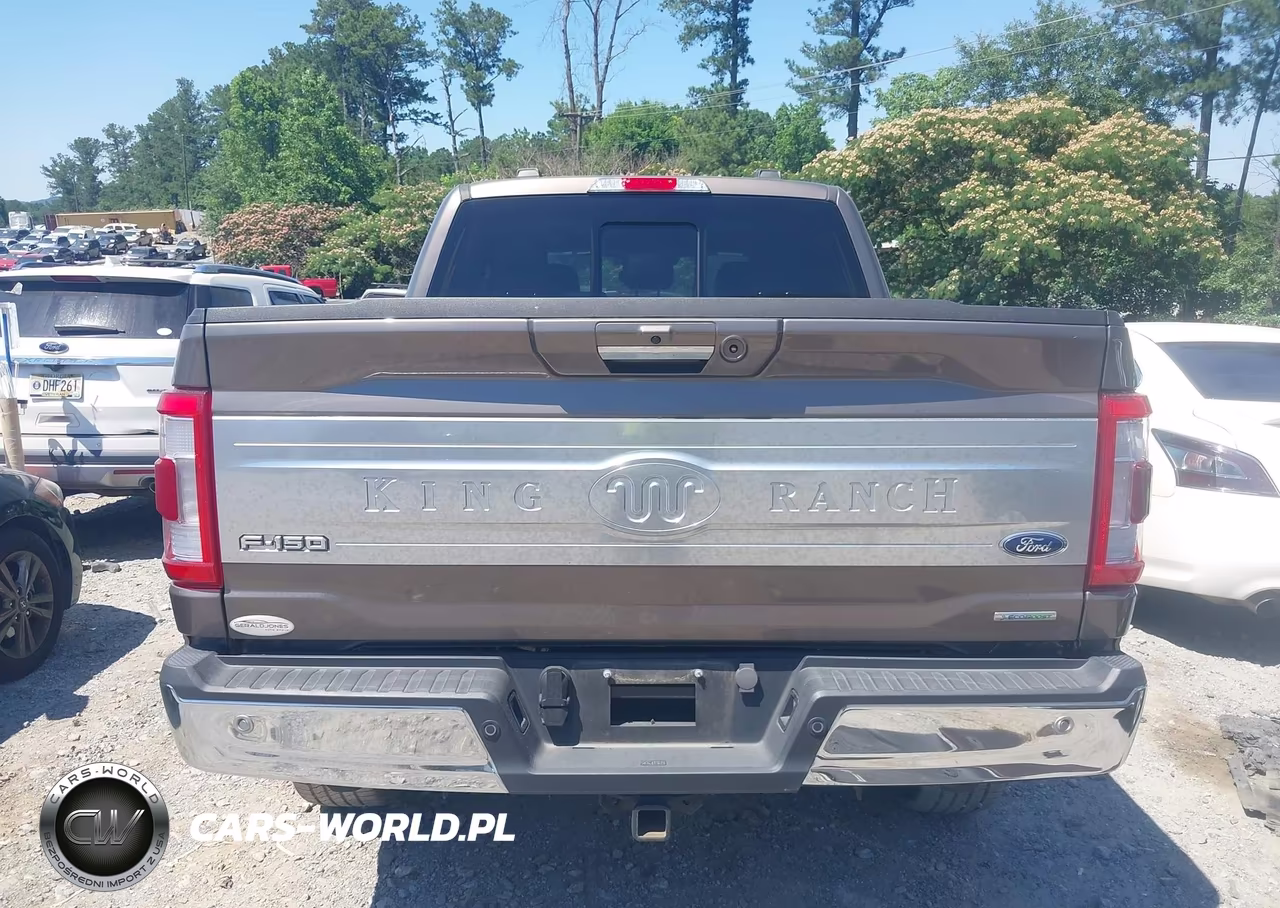2023 Ford F-150 King Ranch VIN:1FTFW1E84PFC46716 - 16