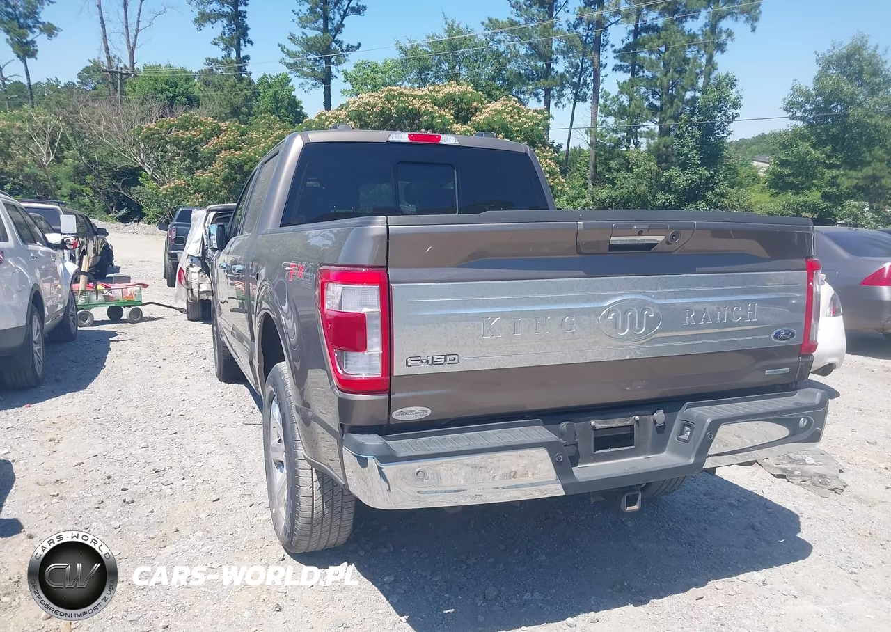 2023 Ford F-150 King Ranch VIN:1FTFW1E84PFC46716 - 3