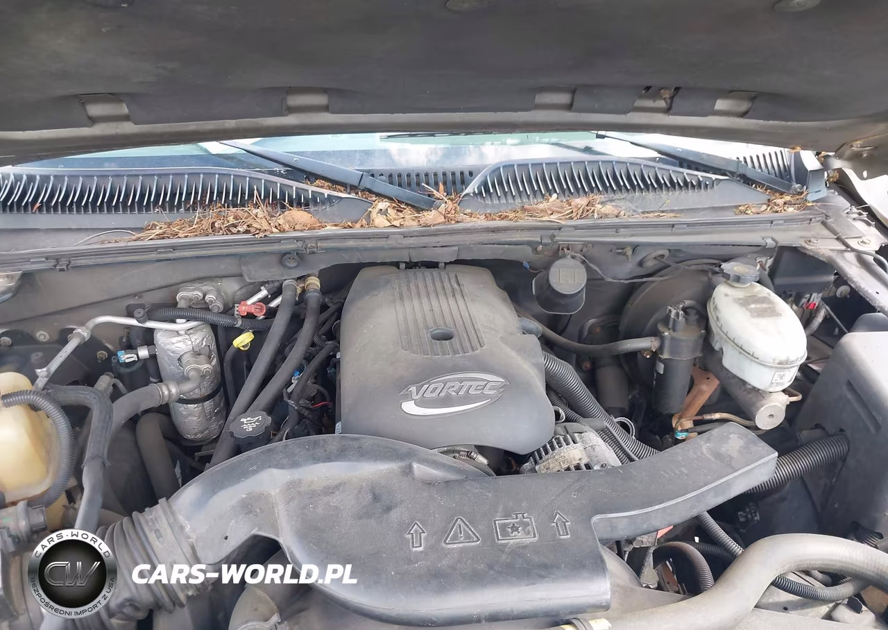 2003 Chevrolet Tahoe Z71 VIN:1GNEK13Z43R273031 - 10