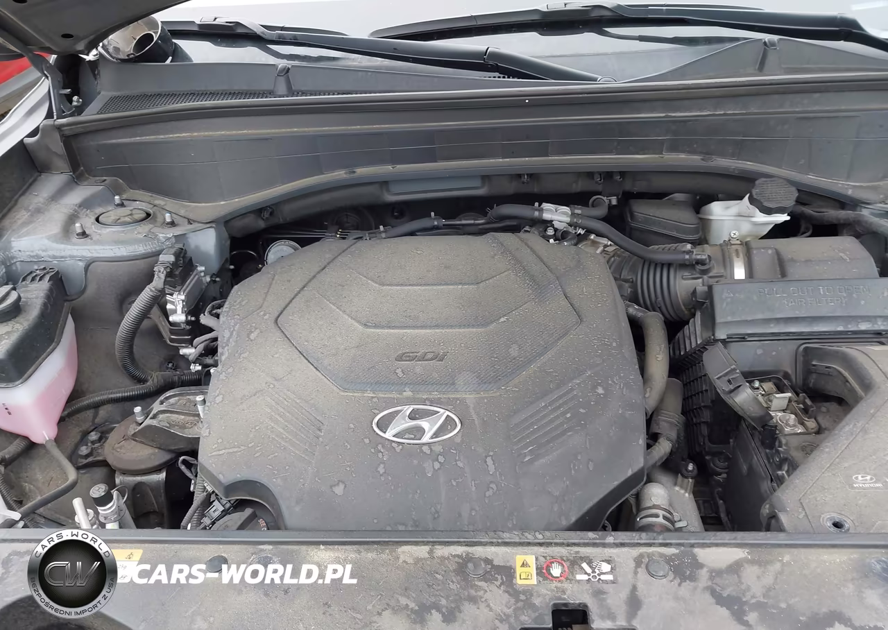 2024 Hyundai Palisade Sel VIN:KM8R44GE4RU654618 - 10