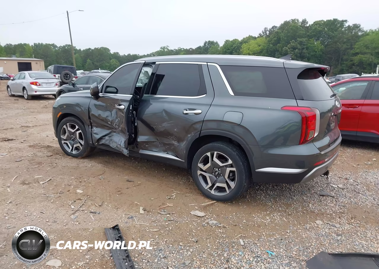 2024 Hyundai Palisade Sel VIN:KM8R44GE4RU654618 - 3