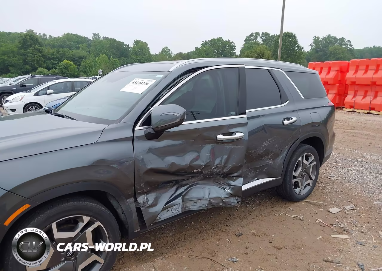 2024 Hyundai Palisade Sel VIN:KM8R44GE4RU654618 - 6