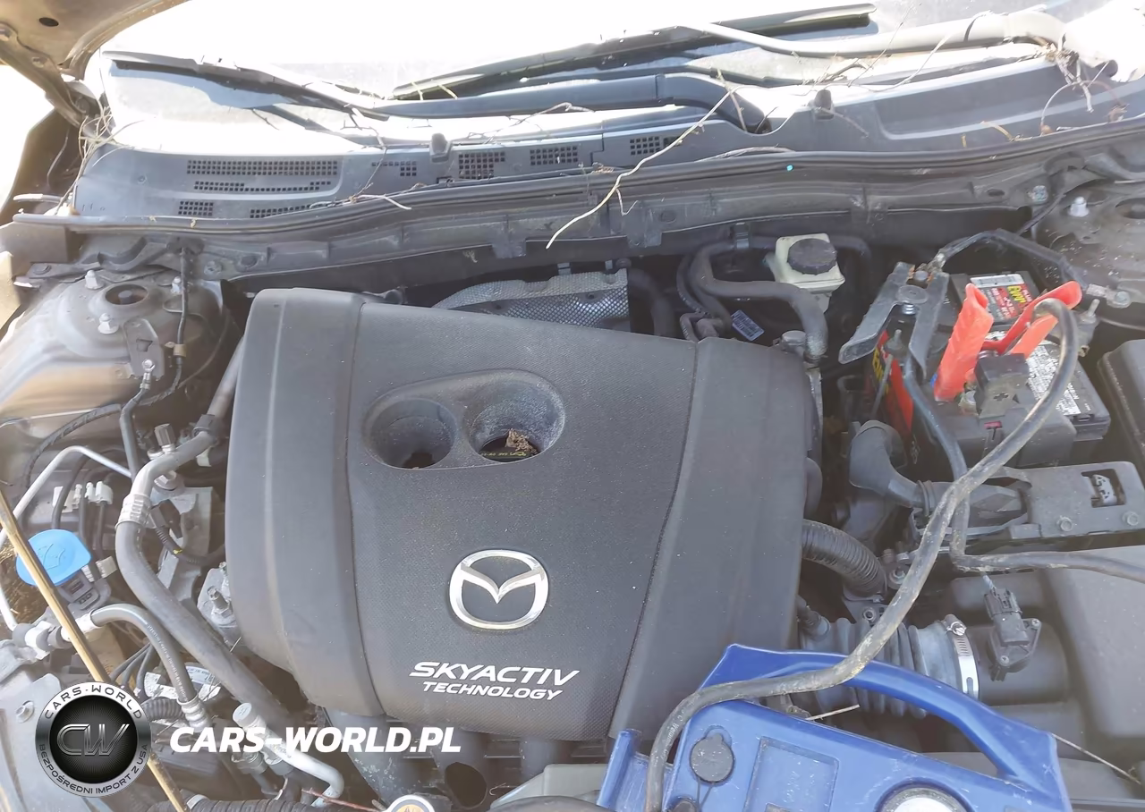 2015 Mazda Mazda3 I Touring VIN:3MZBM1L76FM229796 - 10