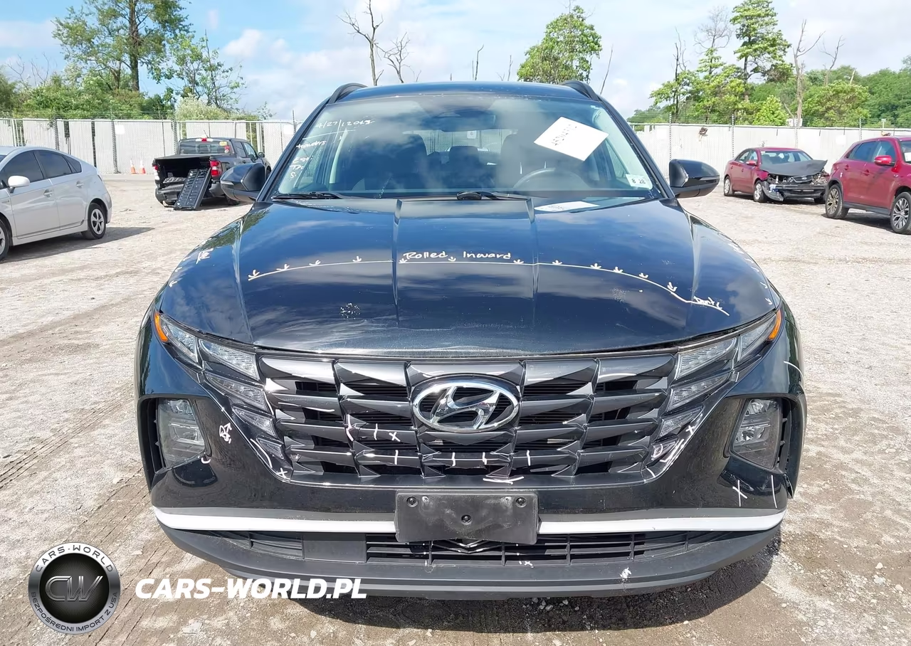 2023 Hyundai Tucson Sel VIN:5NMJBCAEXPH281101 - 12