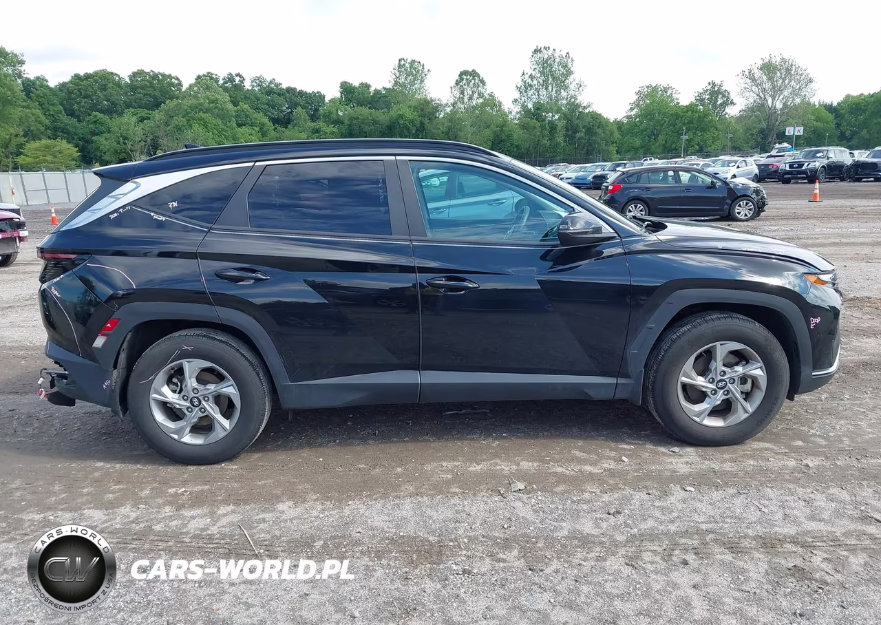2023 Hyundai Tucson Sel VIN:5NMJBCAEXPH281101 - 13