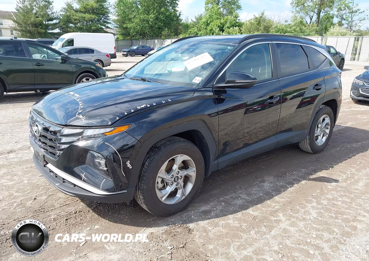 2023 Hyundai Tucson Sel VIN:5NMJBCAEXPH281101 - 2