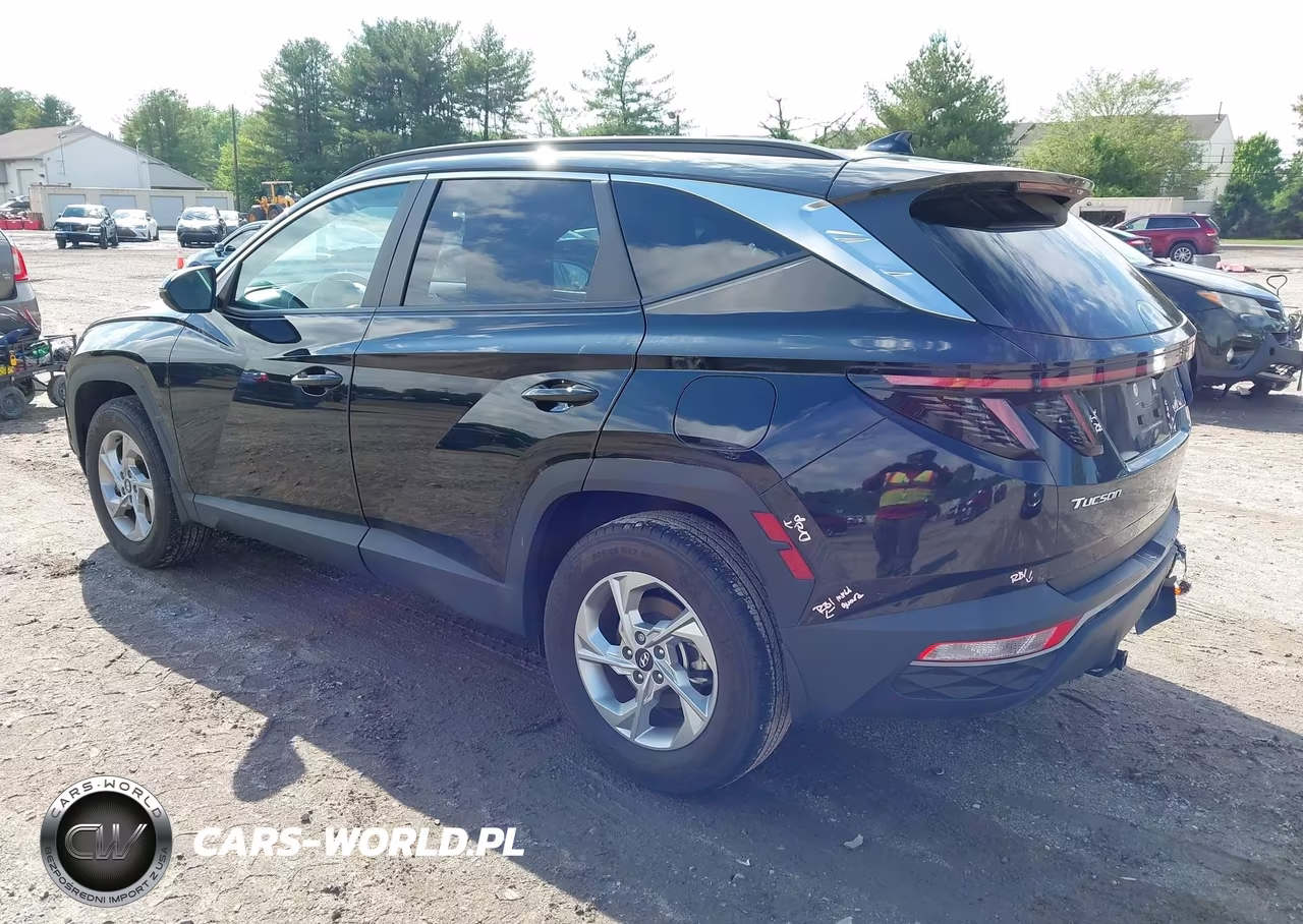 2023 Hyundai Tucson Sel VIN:5NMJBCAEXPH281101 - 3
