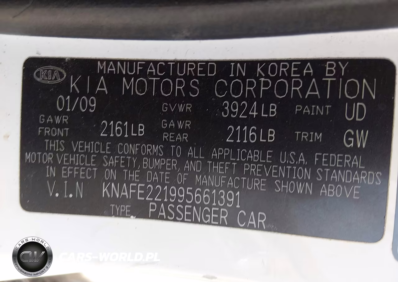 2009 Kia Spectra Ex VIN:KNAFE221995661391 - 9