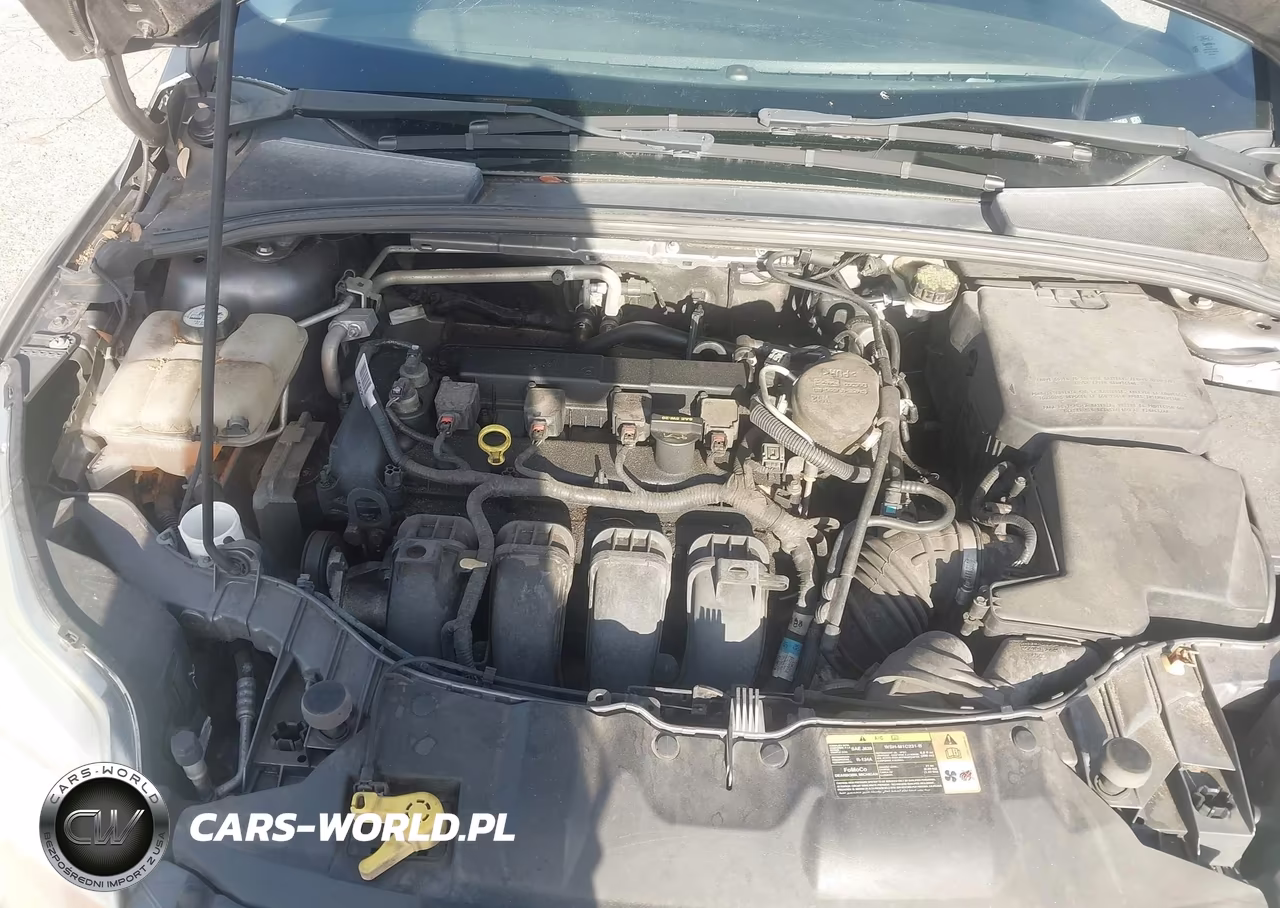 2013 Ford Focus Se VIN:1FADP3F26DL334583 - 10