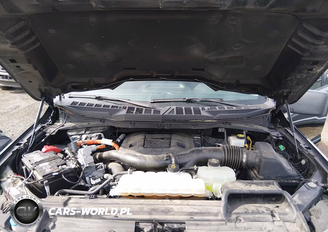 2023 Ford F-150 Xlt VIN:1FTFW1ED6PFD08498 - 10