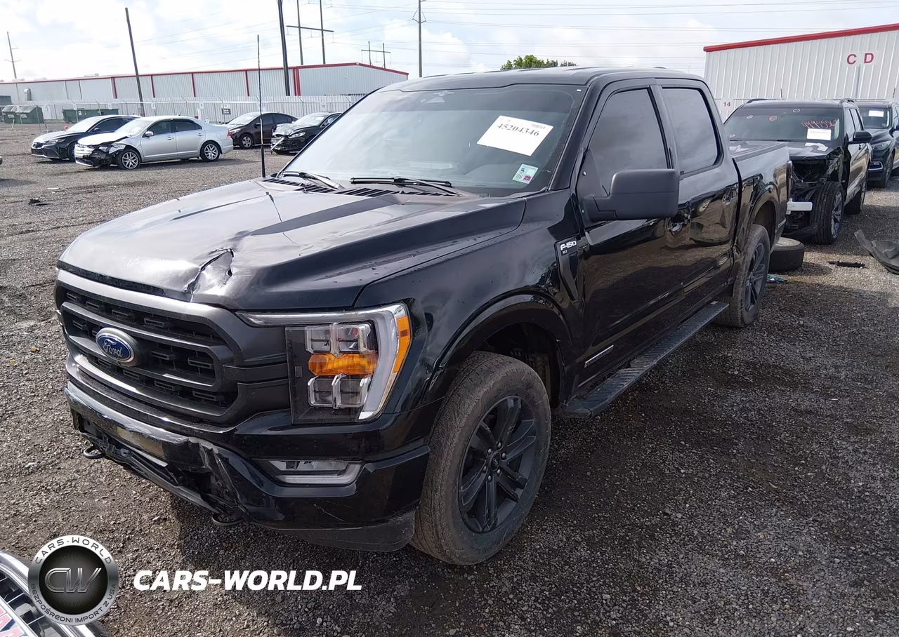 2023 Ford F-150 Xlt VIN:1FTFW1ED6PFD08498 - 2