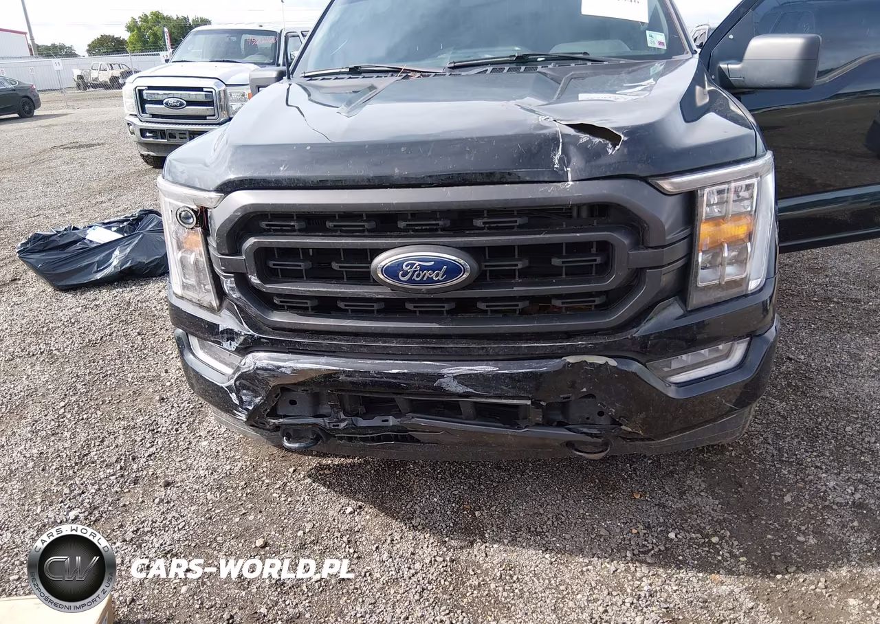 2023 Ford F-150 Xlt VIN:1FTFW1ED6PFD08498 - 6