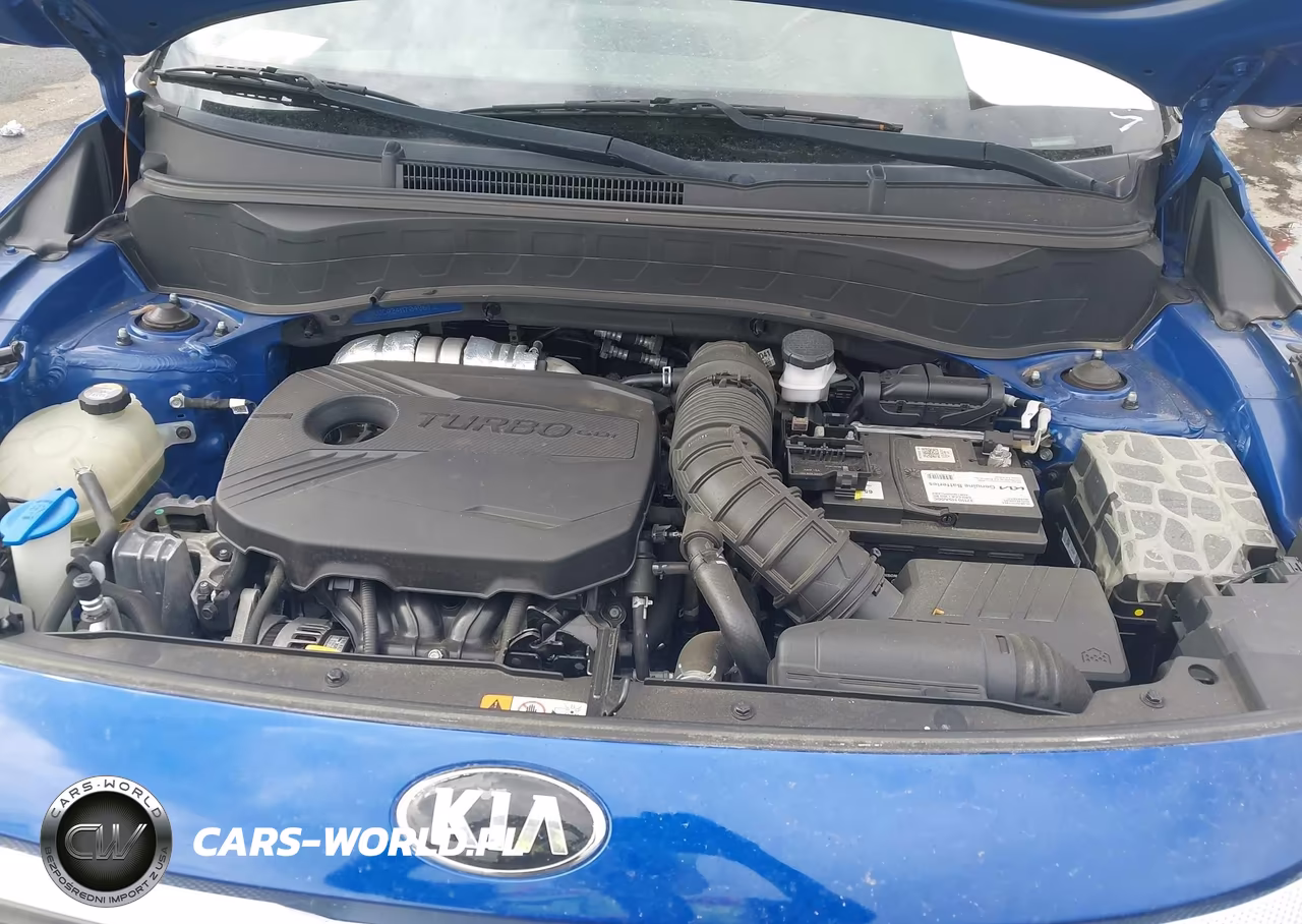 2021 Kia Seltos S Turbo VIN:KNDEUCA24M7040672 - 10
