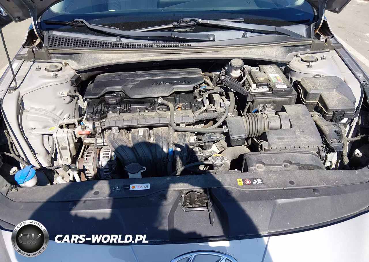 2021 Hyundai Elantra Limited VIN:KMHLP4AGXMU099898 - 10