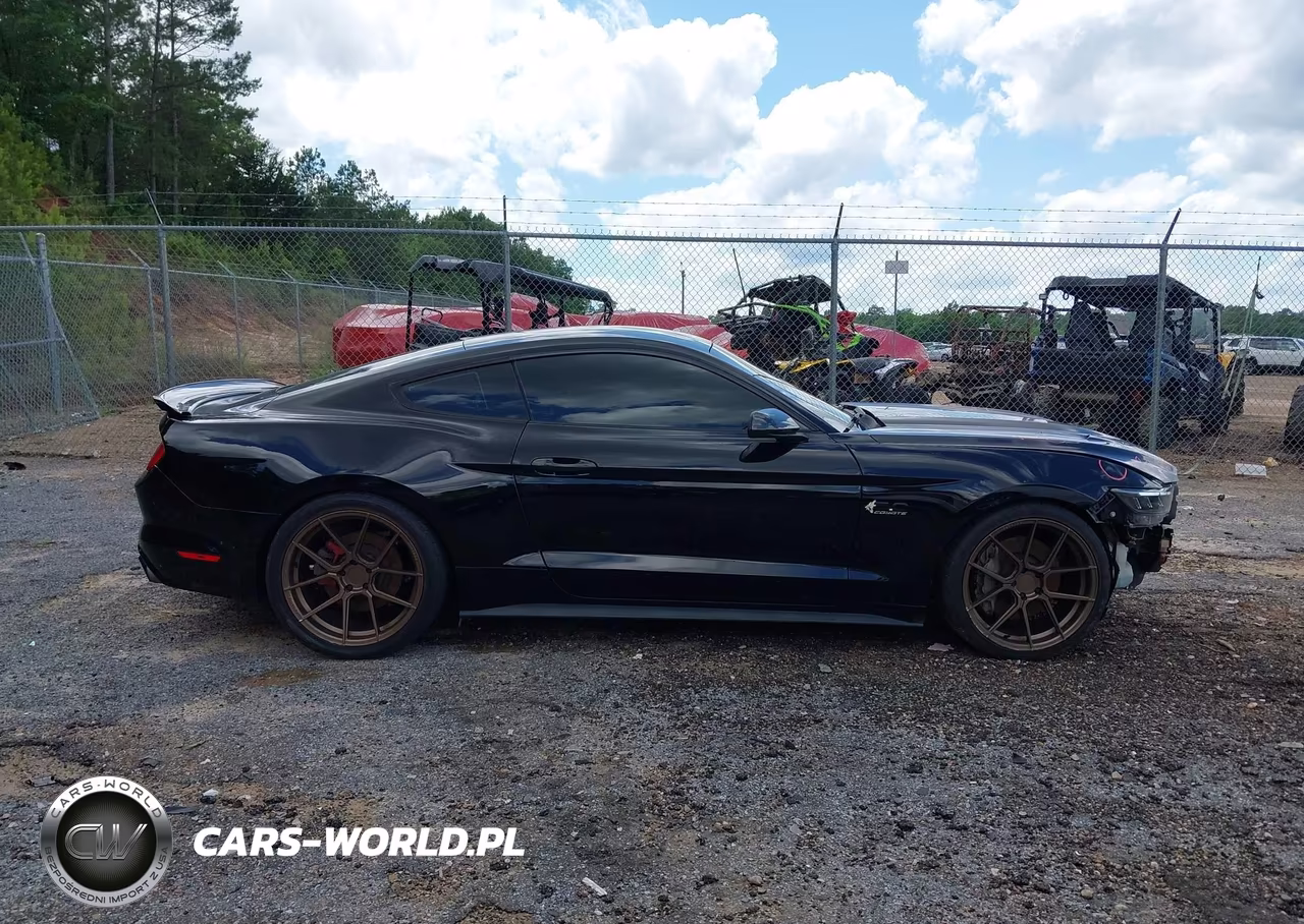 2015 Ford Mustang Gt VIN:1FA6P8CF5F5344266 - 14