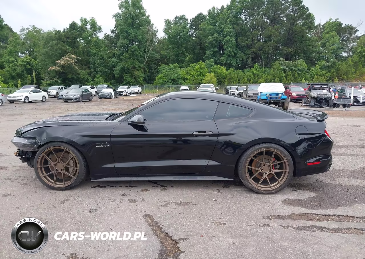2015 Ford Mustang Gt VIN:1FA6P8CF5F5344266 - 15