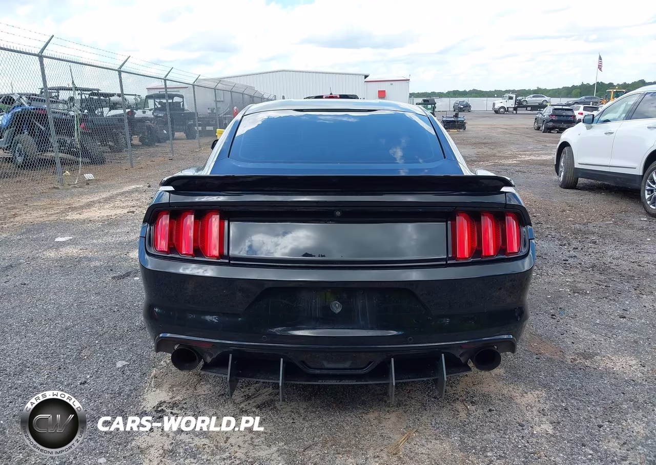 2015 Ford Mustang Gt VIN:1FA6P8CF5F5344266 - 17