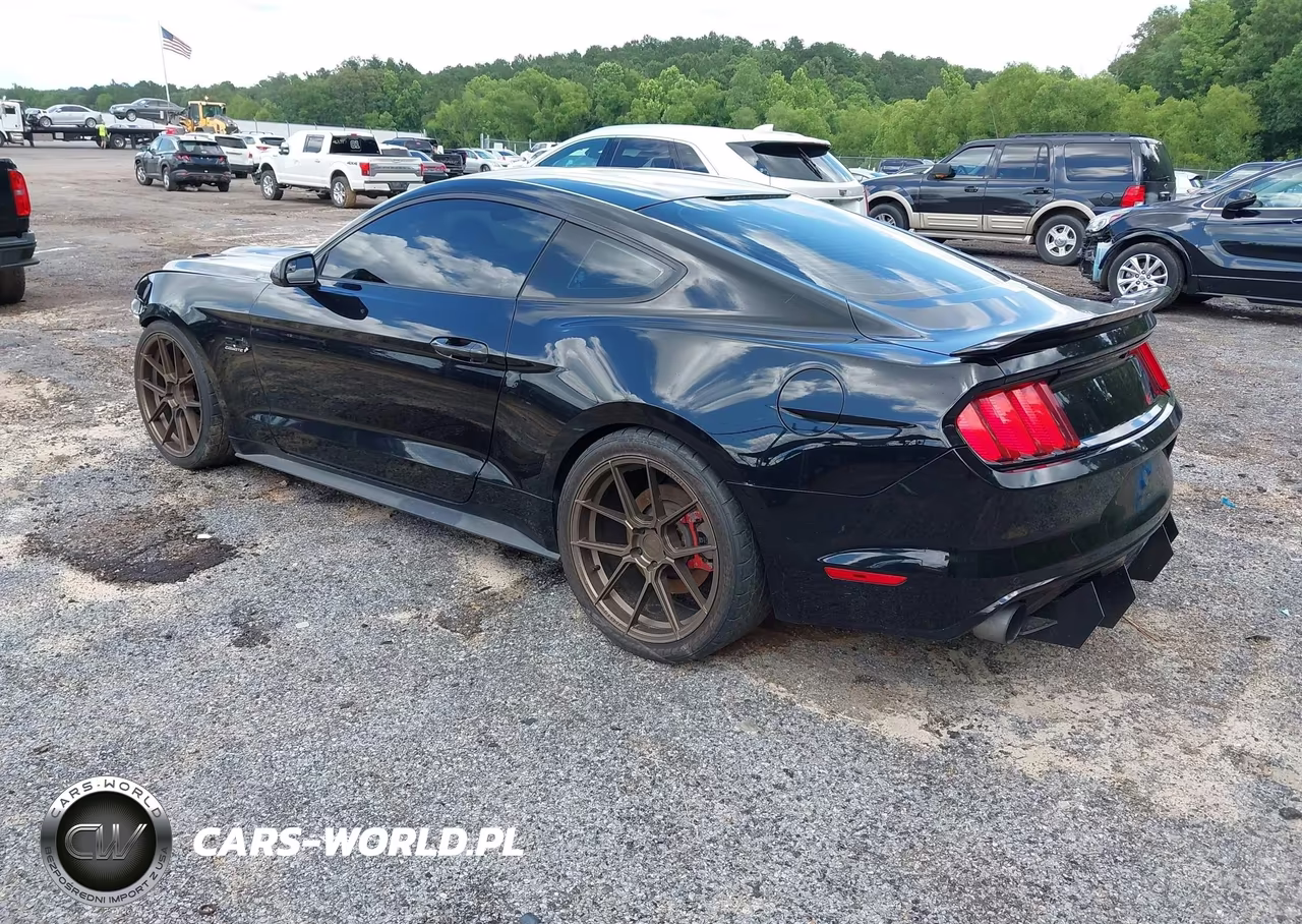 2015 Ford Mustang Gt VIN:1FA6P8CF5F5344266 - 3
