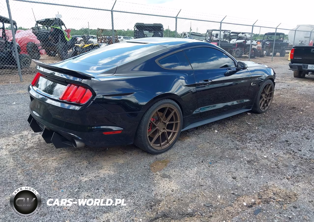 2015 Ford Mustang Gt VIN:1FA6P8CF5F5344266 - 4