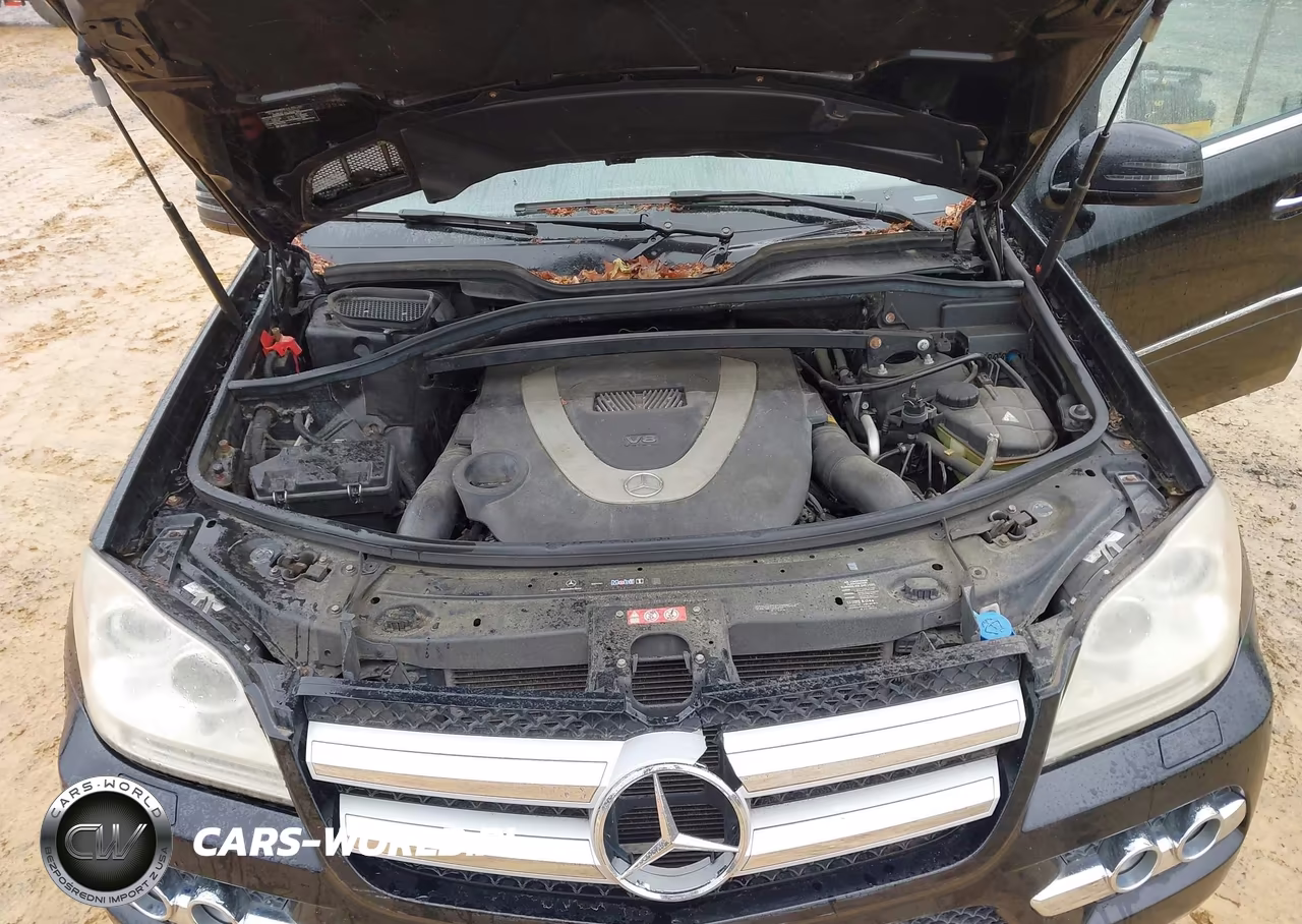 2011 Mercedes-Benz Gl 450 4Matic VIN:4JGBF7BEXBA653548 - 10