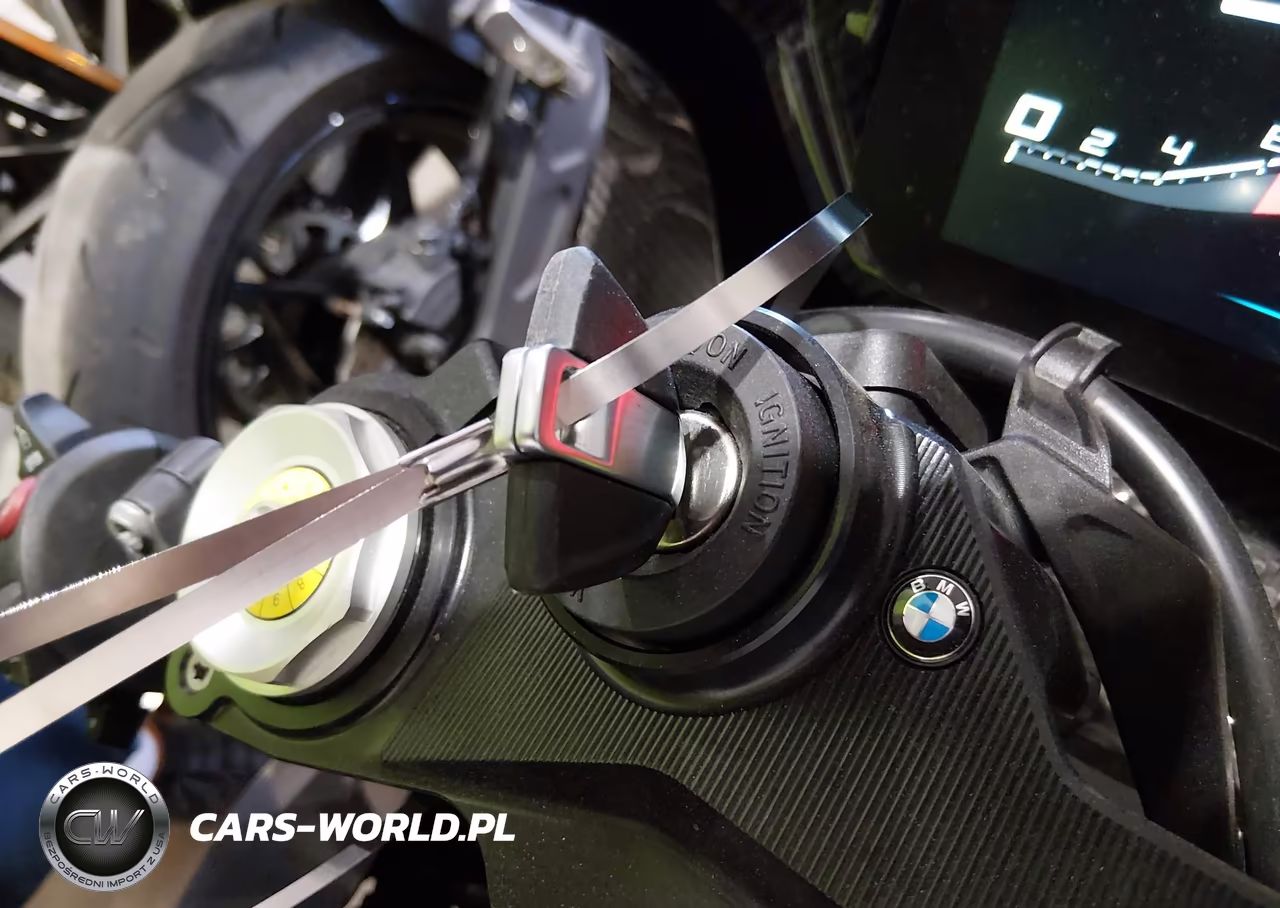 2024 BMW M 1000 Rr VIN:WB10P0304R6J12556 - 11