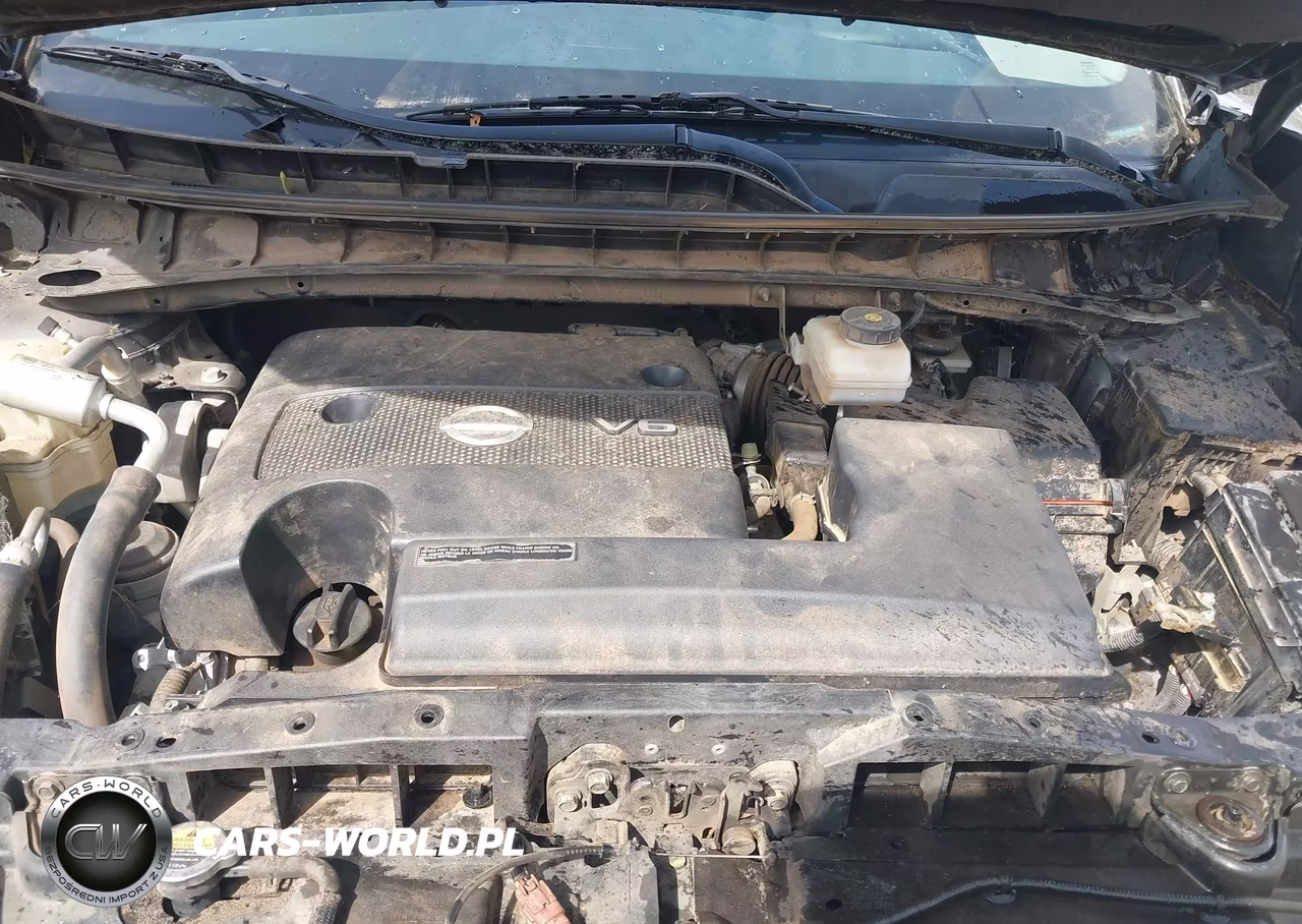 2015 Nissan Murano S VIN:5N1AZ2MGXFN268011 - 10