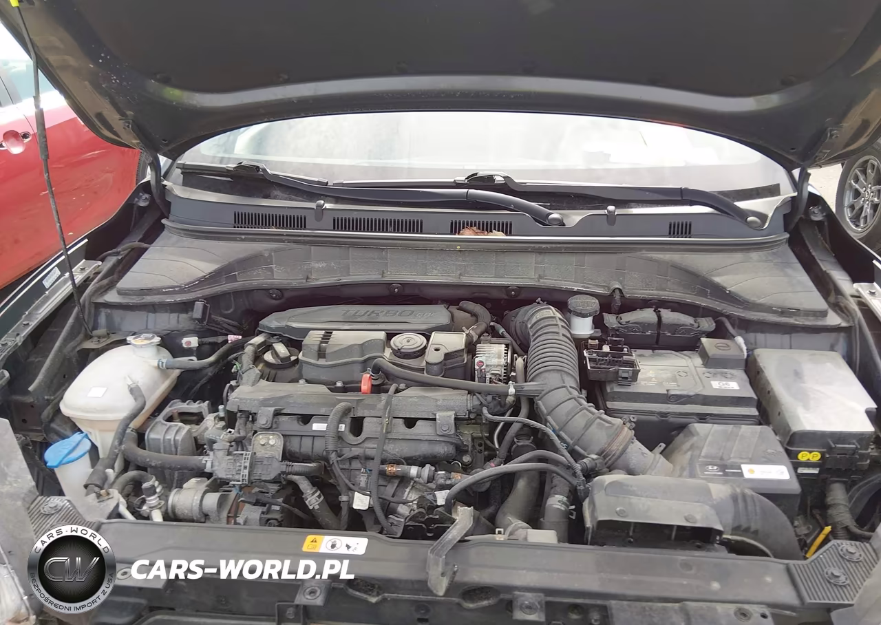2022 Hyundai Kona N Line VIN:KM8K33A31NU841203 - 10