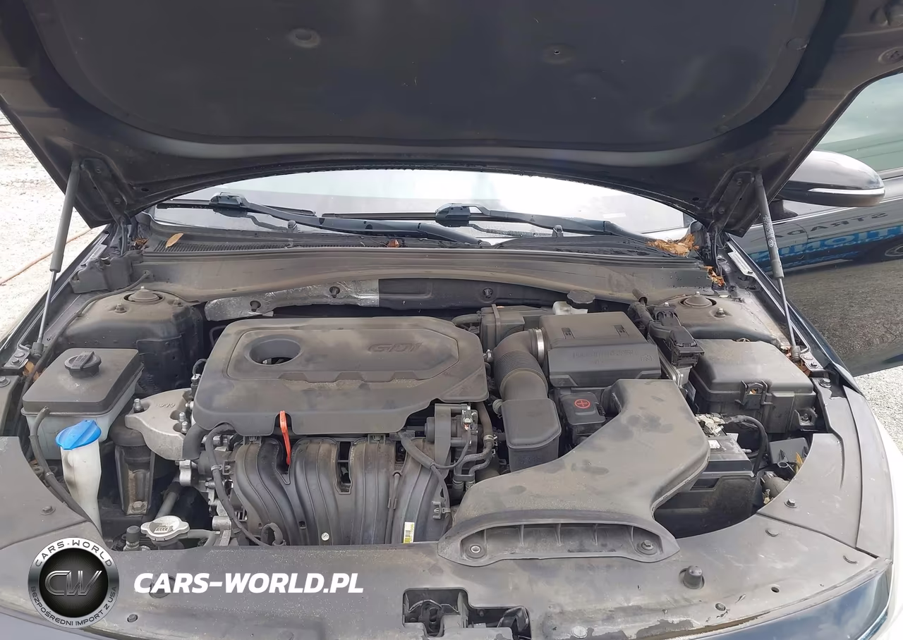 2019 Kia Optima Lx VIN:5XXGT4L39KG359853 - 10